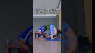 Bends in Yoga #vanimantra #yoga #flexibility #bodybend #streching