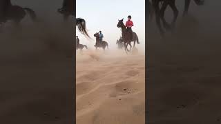 Horse riding ?(5)
