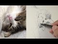 目を開けて眠る猫が目覚めるまでに描く : Draw a sleeping cat