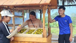 Harvesting persimmons to sell in the village - Help those affected by the storm