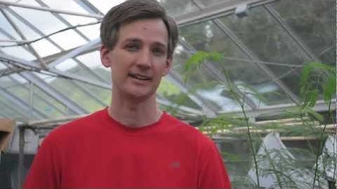 Dr. Travis Idol - "A bike gets me where I need to go"