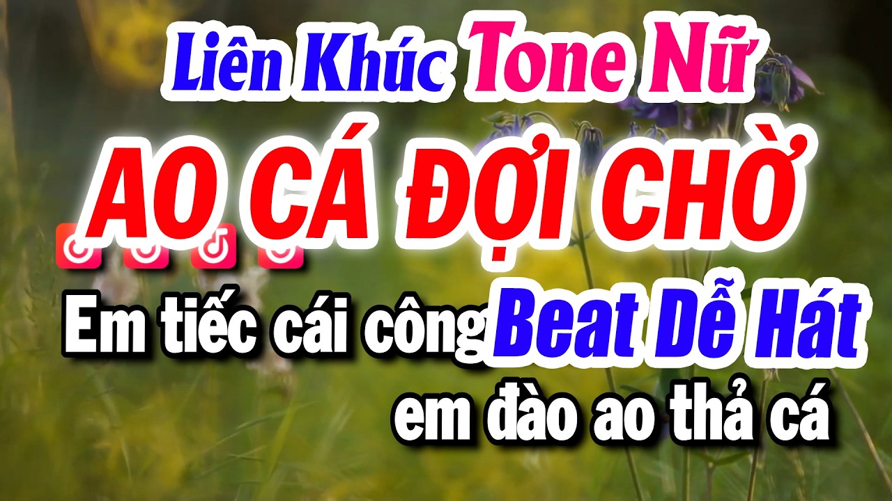 Karaoke Liên Khúc Nửa  Bài Tone Nữ AO CÁ ĐỢI CHỜ Beat Hay Dễ Hát | Karaoke Tuyết Nhi