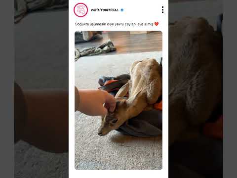 Soğukta üşümüş 🥺