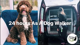 24 hours as a dog walker | All Paws Outdoors