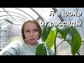 #влог Покупки для ДОМА и САДА. Наши планы / Фаберлик/Переезд на юг /Life in Russia/