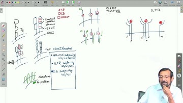 Cytokines : Introduction (Contd.) #swayamprabha #CH31SP