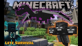 Minecraft: Letz Survival #26