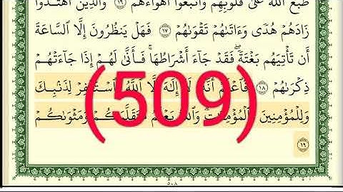 سورة   محمد رقم الصفحة 509 مجود بصوت القارئ الشيخ أيمن سويد حفظه الله