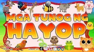 MGA TUNOG NG HAYOP (EDITION 2) @teacherzel screenshot 4