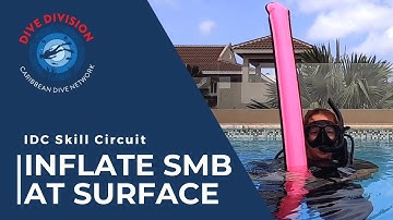 PADI IDC Skill Circuit: Inflatable Signal Tube Use (Revised Instructor Development Course)