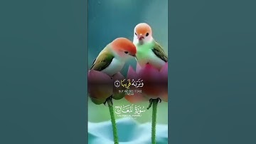 تلاوة القران الكريم راحة نفسية #قران_كريم #قرآن #راحة_نفسية #لايك #اكسبلور #explore