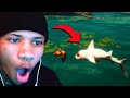 I Tried To Take Over The Sea As A Shark... | Man Eater