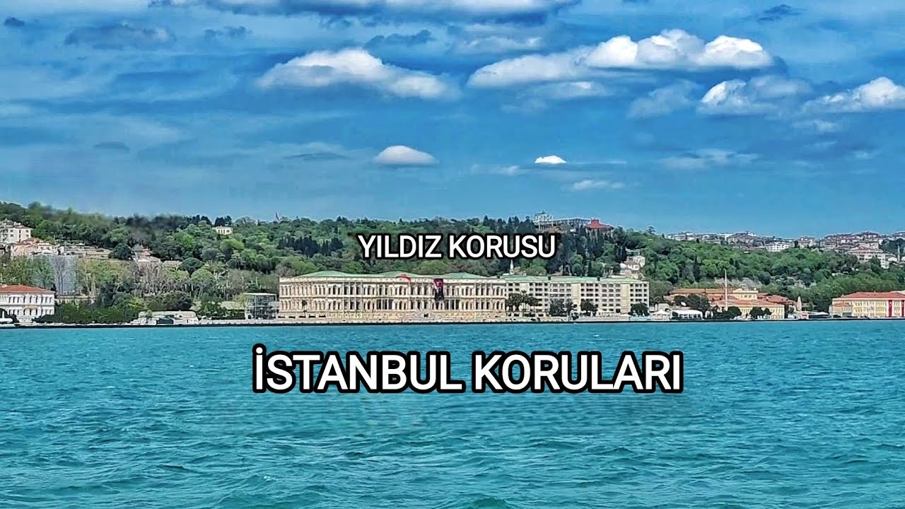 İSTANBUL KORULARI/YILDIZ KORUSU