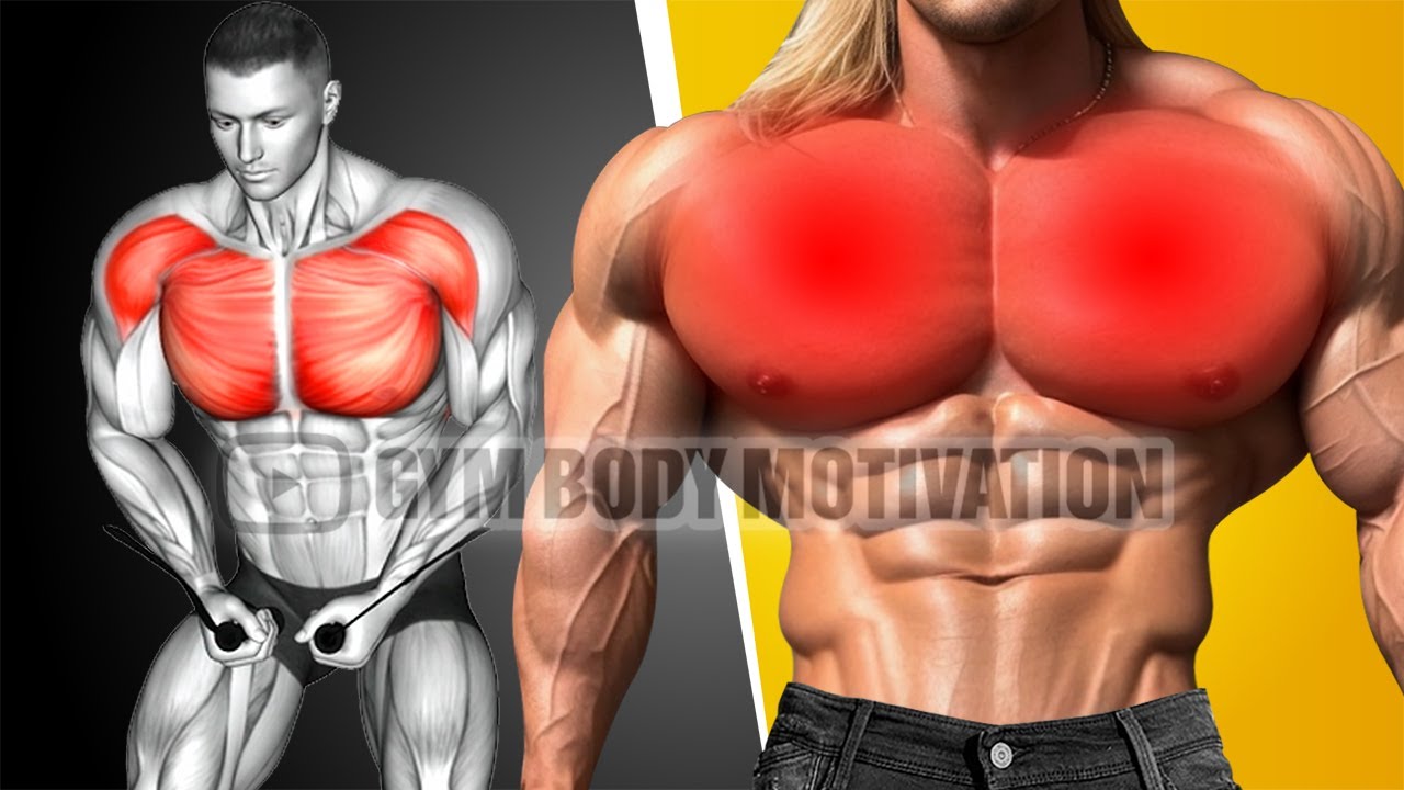 8 Effective Chest Exercises You Should Be Doing (Upper, Middle and Lower  Chest) 