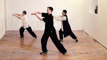 Tai He Quan - Supreme Harmony Form