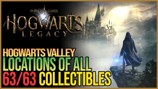 All Hogwarts Valley Collectibles Hogwarts Legacy