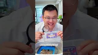 Tìm kho báu pha lê vui nhộn và thú vị như vậy, bạn đã bao giờ chơi chưa? #trending