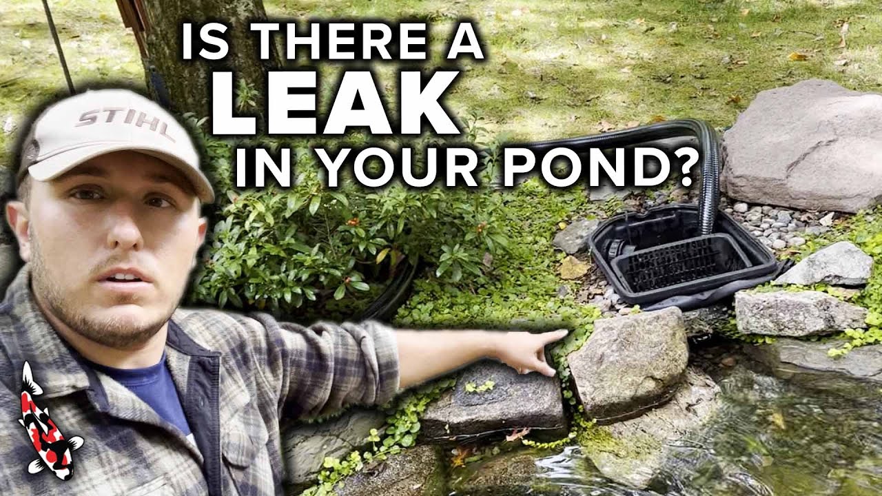 How To Find A Leak In Your Pond YouTube How To Find A Leak In Your Pond YouTube