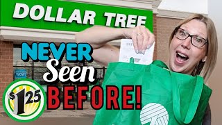 NEW DOLLAR TREE FINDS TOO GOOD to PASS UP! HAUL THESE $1.25 ITEMS WHILE YOU CAN FIND THEM!