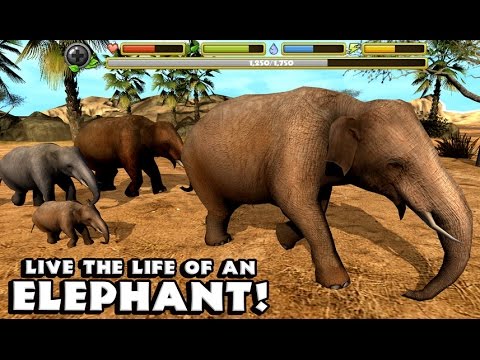 Elephant Simulator Симулятор слона на Android(Обзор/Review)