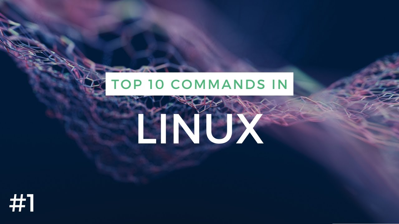Basic Linux Commands for Beginners (Part 1) - YouTube