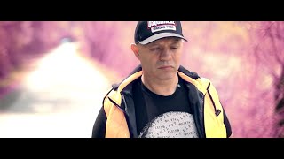 Nicolae Guta - Bine ai venit iubirea mea