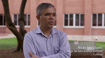 Cloud Computing and Collaboration - Interviews with the UArizona Black Hole PIRE Team