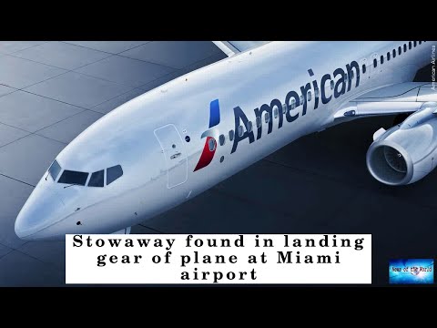 Stowaway found in
