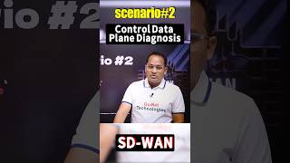 How to Diagnose SD-WAN Plane Issues? Control Plane vs Data Plane