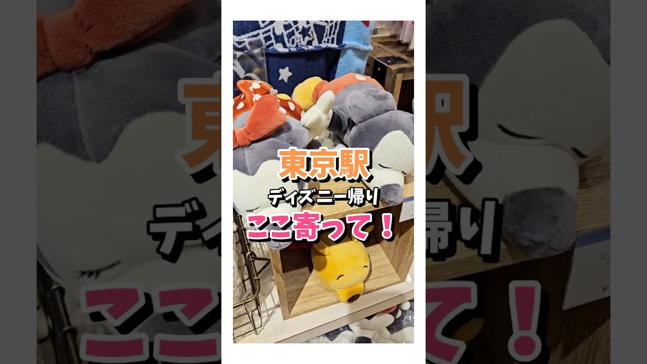 ディズニー好きも知らない!?限定グッズが買える隠れた人気ショップ