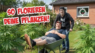 Easy Grow mit Flo - Wir wollen es genauer wissen!