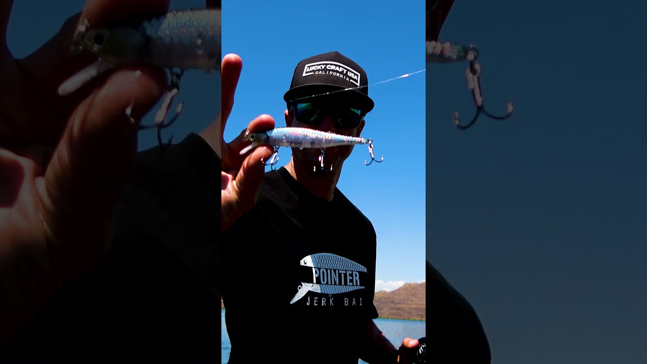 All SECRETS of LIGHTNING Pointer 110SP【02,03,04,05,06,07,08,09,10,11】