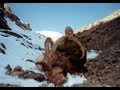 Ibex tian shan kirghizstan hunting chasse since 1990 by seladang