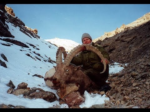 IBEX TIAN SHAN KIRGHIZSTAN hunting (Chasse) since 1990 by Seladang