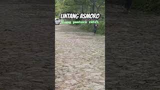 LINTANG ASMORO #shorts