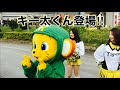 【野球観戦】阪神タイガースVS日本ハムﾌｧｲﾀｰｽﾞ 2020/02/09 かりゆしホテルズﾎﾞｰﾙﾊﾟｰｸ…