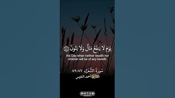 من سورة الشعراء || القارئ أحمد النفيس |