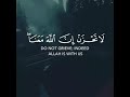 ل ا ت ح ز ن إ ن الل ه م ع ن ا القارئ أحمد النفيس تلاوة خاشعة