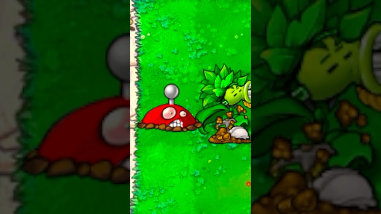 🤣 Surprise in the back 🤣🤣 