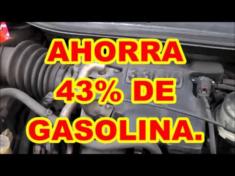 Las revocaciones el Ford foco 1.6 gasolina