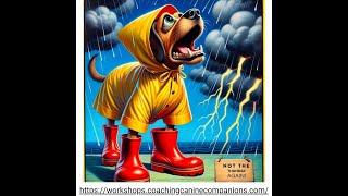 Transform Your Fearful or Reactive Dog ~ 9 screenshot 5