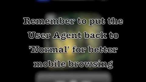 Smart Tab Browser iOS app User Agent