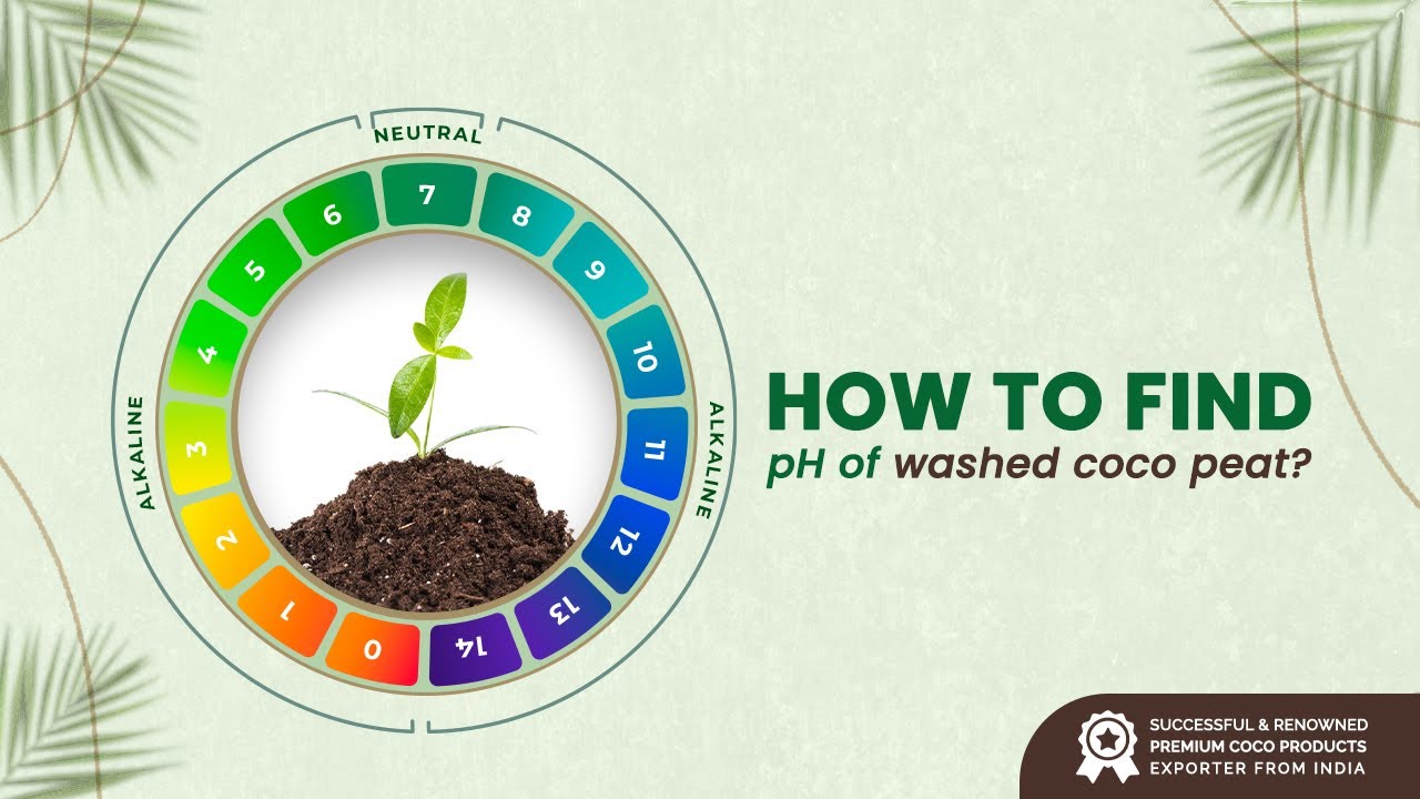 3 Tips for Finding the Ph of washed Coco Peat | 