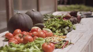 The Farm At Newtree Ranch