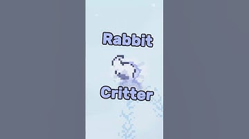 I Added a Rabbit to My Game