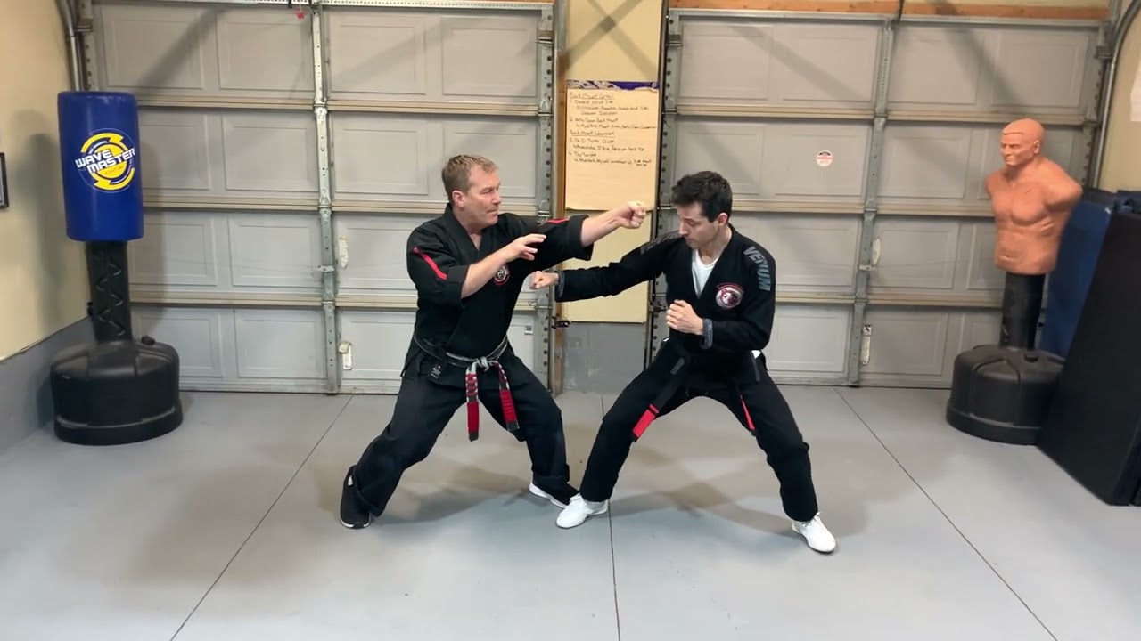 Kenpo Green Belt Freestyle Techniques Part 7 | Jamie Seabrook
