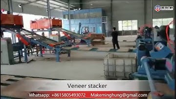 veneer stacker/veneer sorting machine automatic vacuum