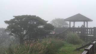 陽明山冷水坑往擎天崗步道2016-1024-02