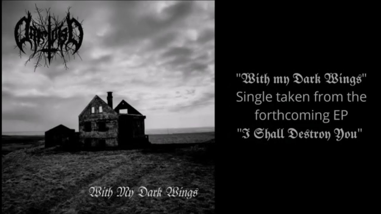 Daysidied - With My Dark Wings [Official Audio Track]