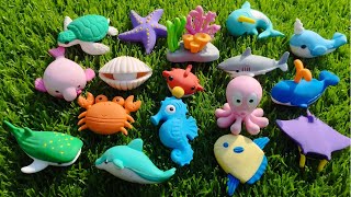 sea animals Fun Facts, sea animals, Sea Animal Toys collection, sea animals for kids, preschool 2